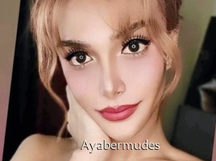 Ayabermudes