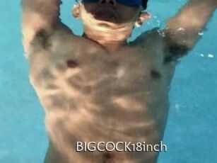 BIGCOCK18inch
