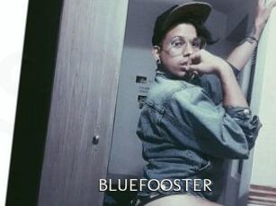 BLUEFOOSTER