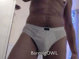 BarepigOWL