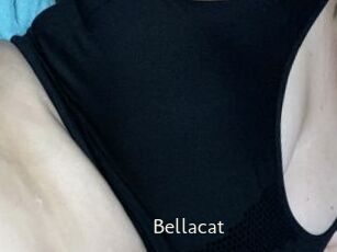 Bella_cat