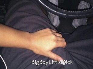 BigBoyLittleDick