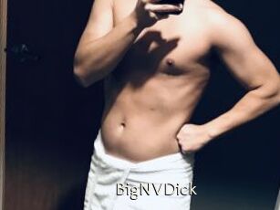 BigNVDick