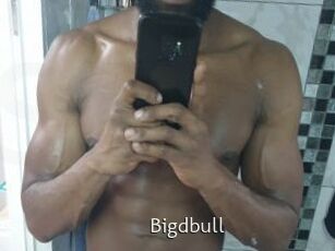 Bigdbull