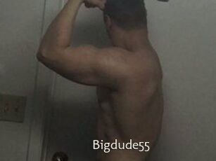 Bigdude55