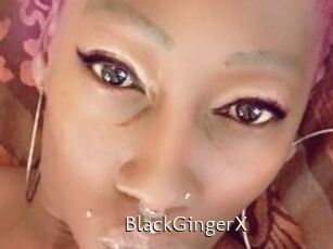 BlackGingerX