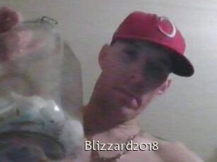 Blizzard2018