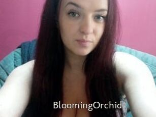 BloomingOrchid
