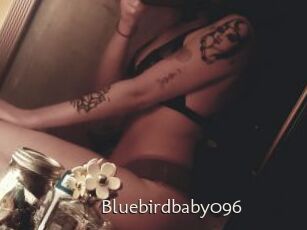 Bluebirdbaby096