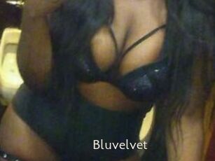 Bluvelvet