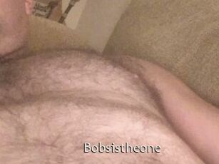 Bobsistheone