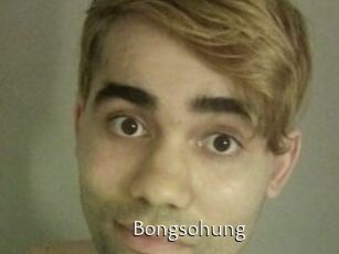 Bongsohung