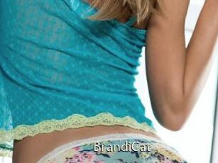 BrandiCat
