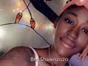 Bre_Shawn2020