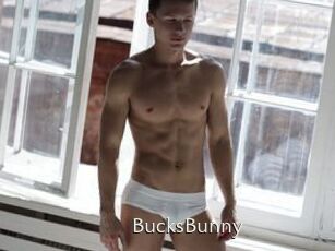 BucksBunny