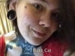 Buzz_Cat