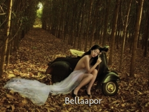 Bellaapor