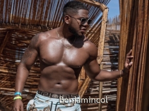 benjamincol Sexe Annuaire