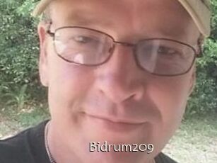 Bidrum209