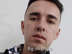 Big_dicktop23