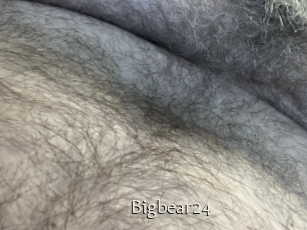 Bigbear24