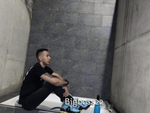 Bigboss22