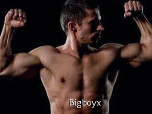 Bigboyx