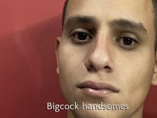 Bigcock_handsomes