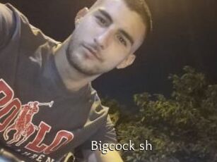 Bigcock_sh