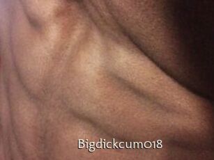 Bigdickcum018