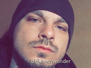 Bigkaneswonder