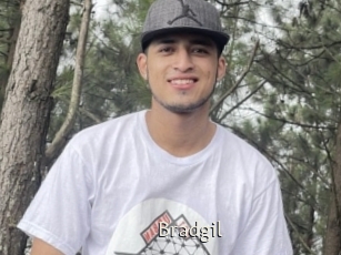 Bradgil