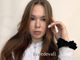 Breedevall