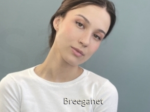 Breeganet