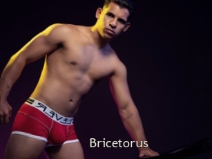Bricetorus