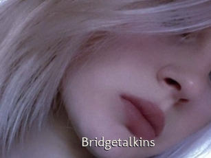 Bridgetalkins