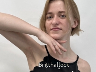 Britthallock