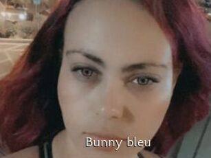 Bunny_bleu