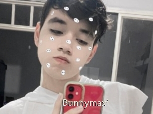 Bunnymaxi
