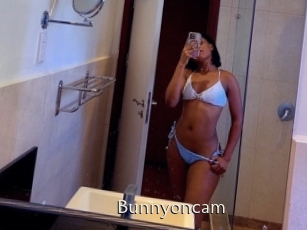 Bunnyoncam