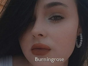 Burningrose