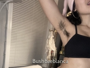 Bushbaeblanca
