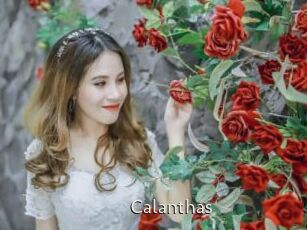 Calanthas