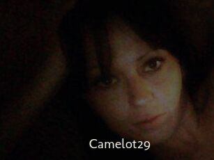 Camelot29
