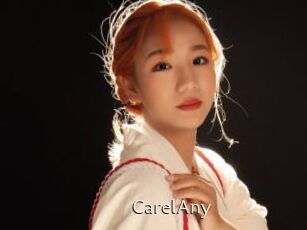 CarelAny