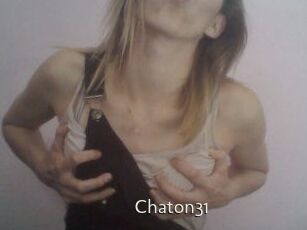 Chaton31