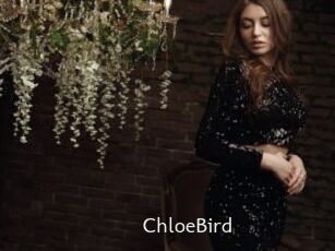 ChloeBird