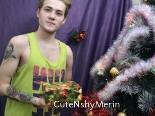 CuteNshyMerin