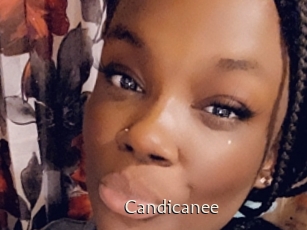 Candicanee