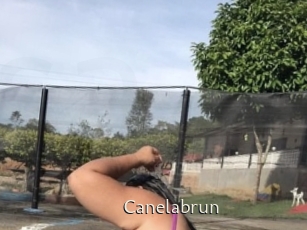 Canelabrun